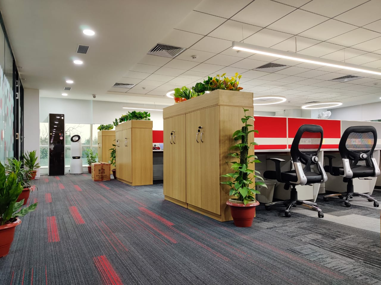 Green office space having a natural vibe